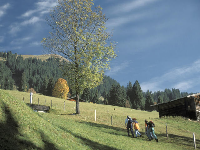 Neukumhof Apartment Westendorf Bagian luar foto